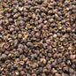 DIYO TIMUR WHOLE / SICHAUN PEPPER 200G