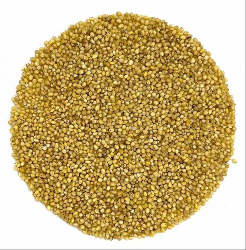 DIYO MILLET WHOLE 800G