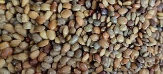 Diyo Gahat Horsegram 800g