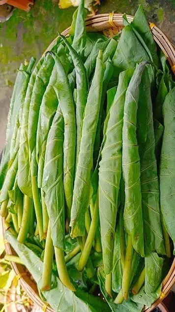 Fresh Karkalo (Taro Leaves)- 500g