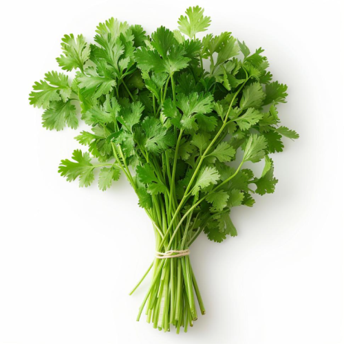 Coriander- 150g(1pc)
