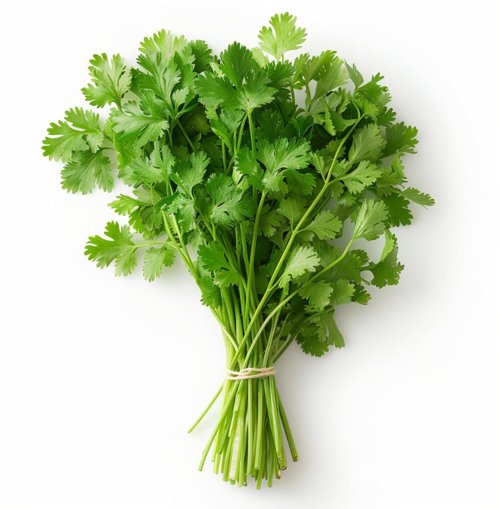 Coriander- 150g(1pc)